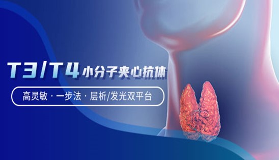 【小分子夾心法】甲功T3/T4，高靈敏&一步法